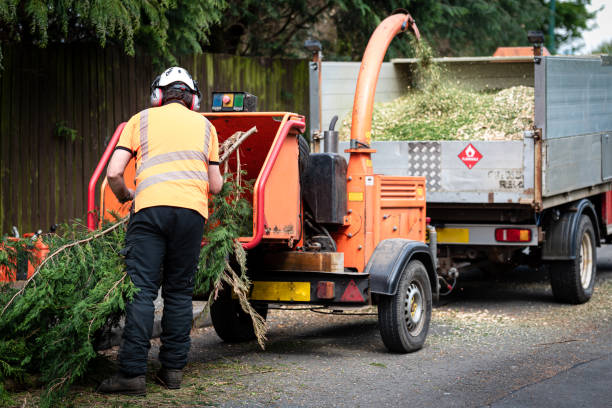 Best Lawn Watering Services  in Adamsville, TN